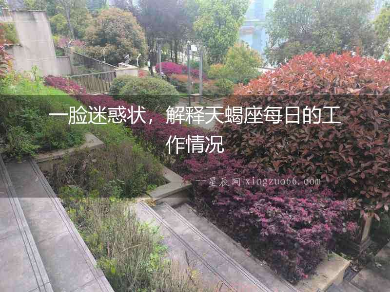 一臉迷惑狀，解釋天蝎座每日的工作情況