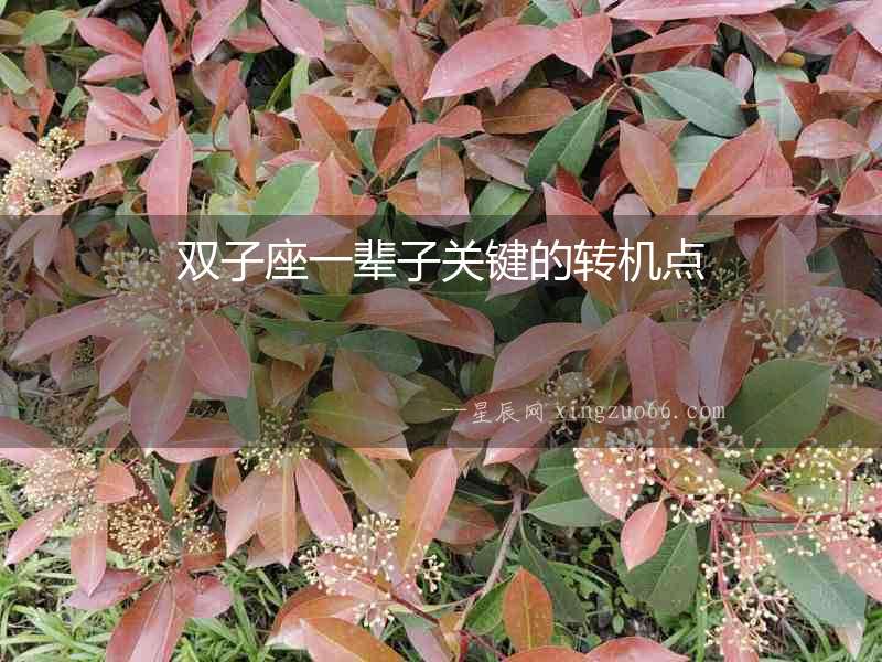 雙子座一輩子關鍵的轉機點
