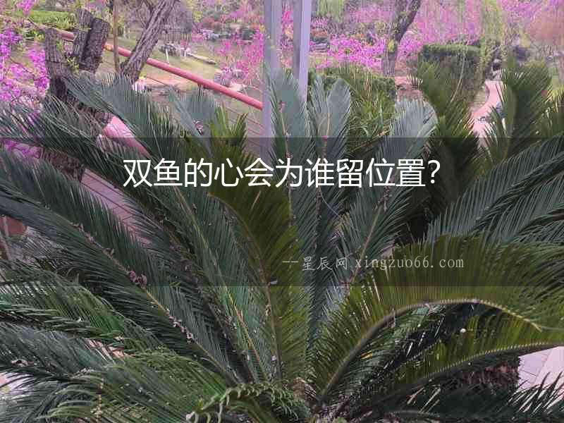 雙魚的心會為誰留位置？