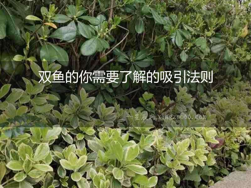 雙魚的你需要了解的吸引法則