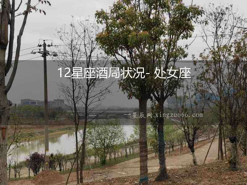 12星座酒局狀況- 處女座
