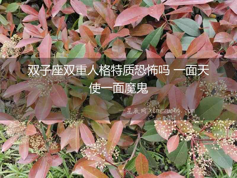 雙子座雙重人格特質恐怖嗎 一面天使一面魔鬼