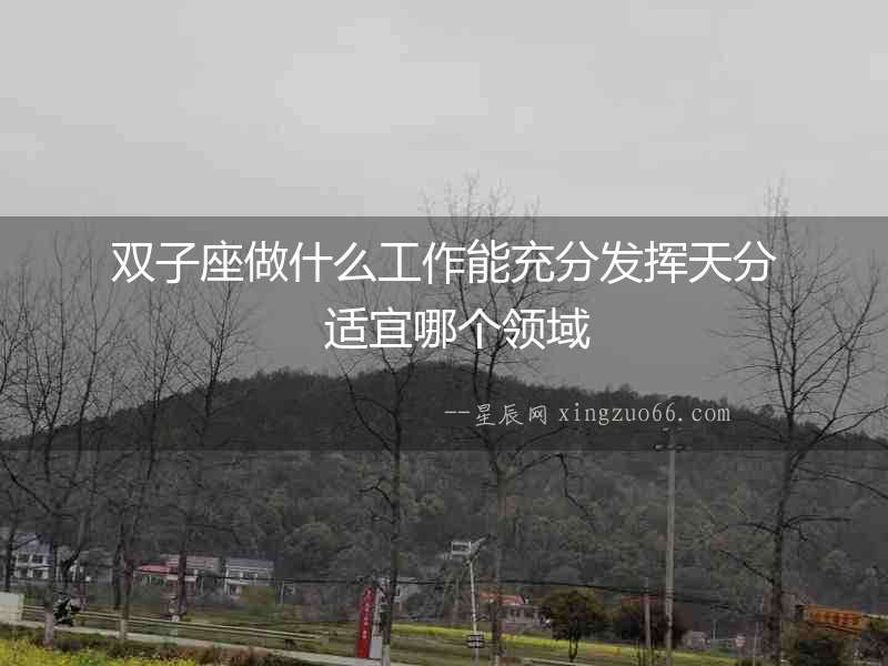 雙子座做什么工作能充分發揮天分  適宜哪個領域