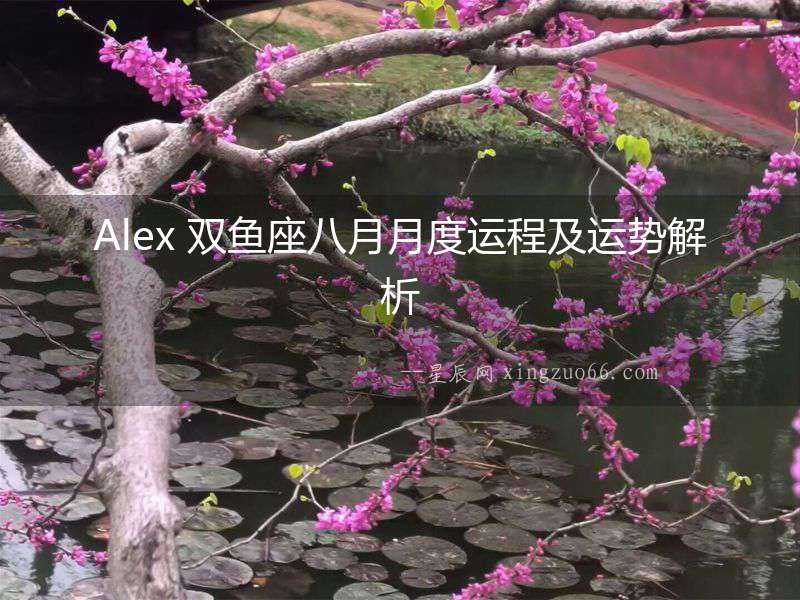 Alex 雙魚座八月月度運程及運勢解析