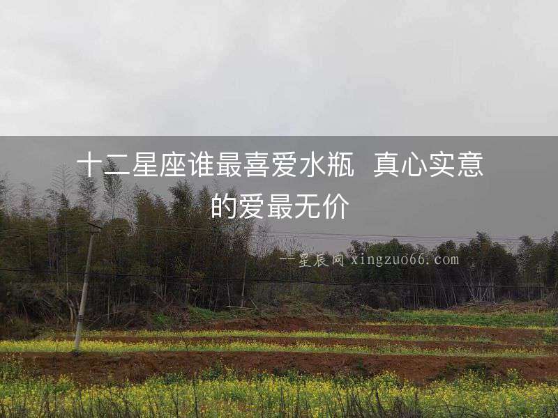 十二星座誰最喜愛水瓶  真心實意的愛最無價