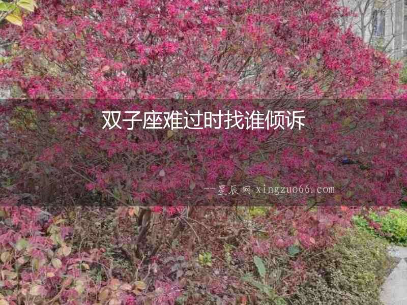 雙子座難過時找誰傾訴