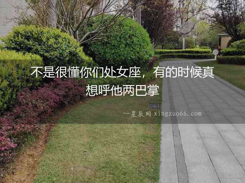 不是很懂你們處女座，有的時(shí)候真想呼他兩巴掌