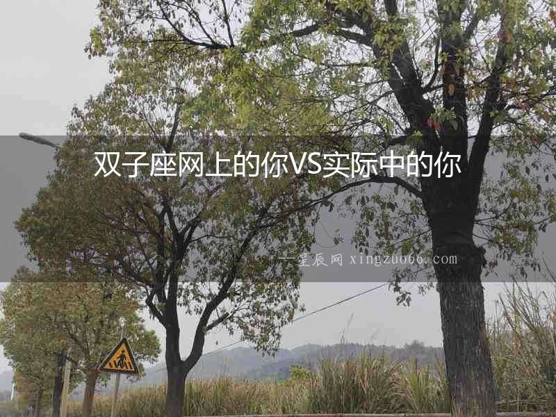 雙子座網上的你VS實際中的你