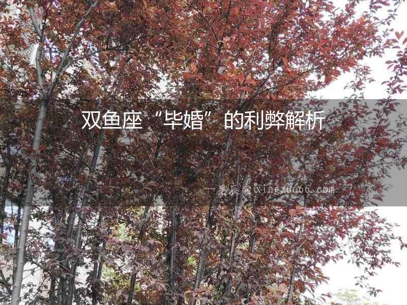 雙魚座“畢婚”的利弊解析