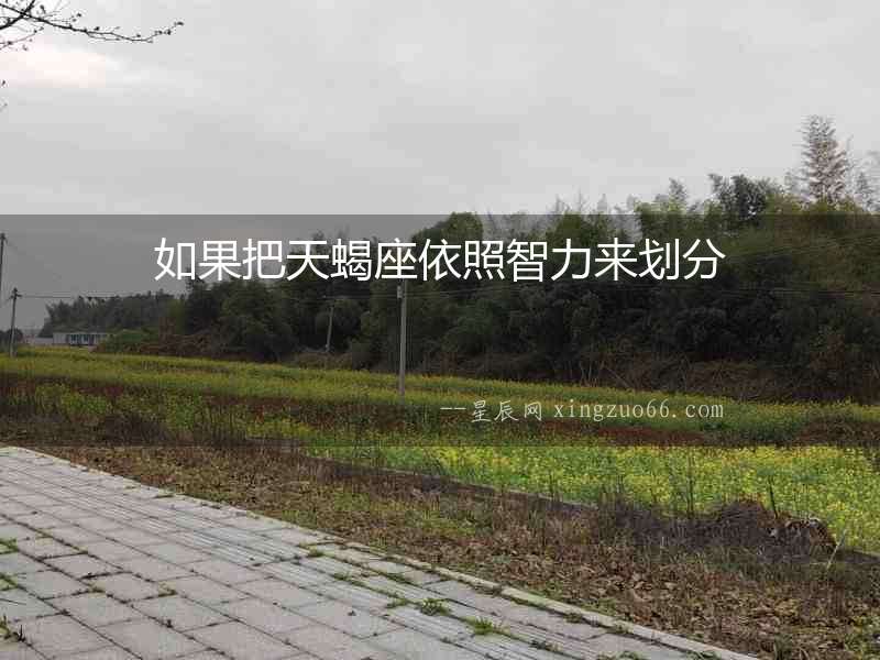 如果把天蝎座依照智力來劃分