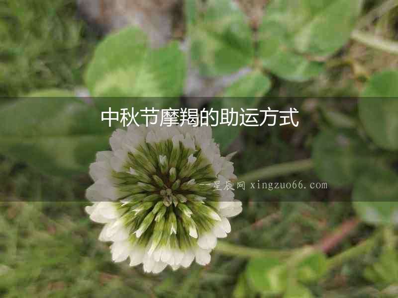 中秋節摩羯的助運方式