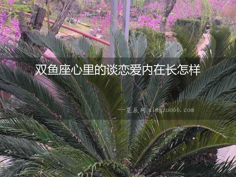 雙魚座心里的談戀愛內(nèi)在長怎樣