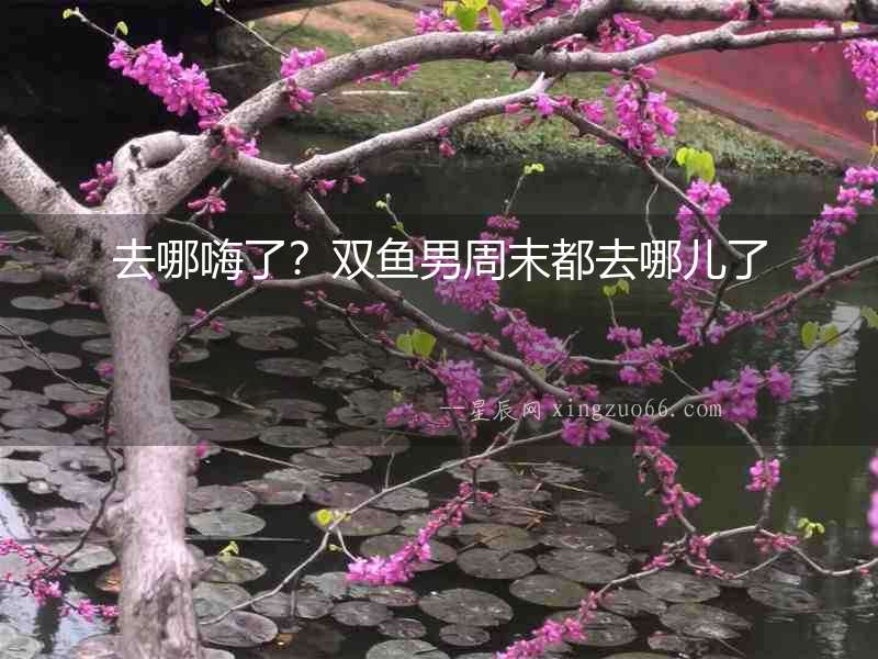 去哪嗨了？雙魚男周末都去哪兒了