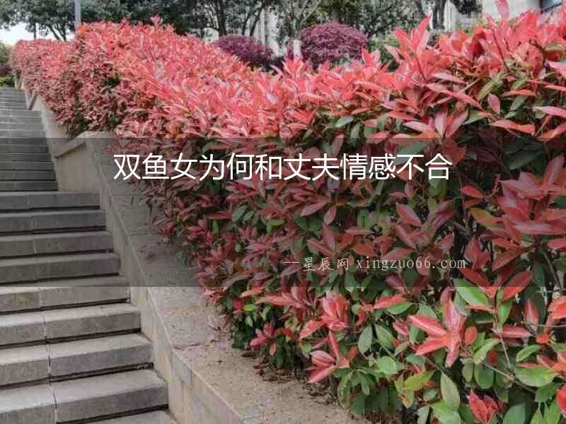 雙魚女為何和丈夫情感不合