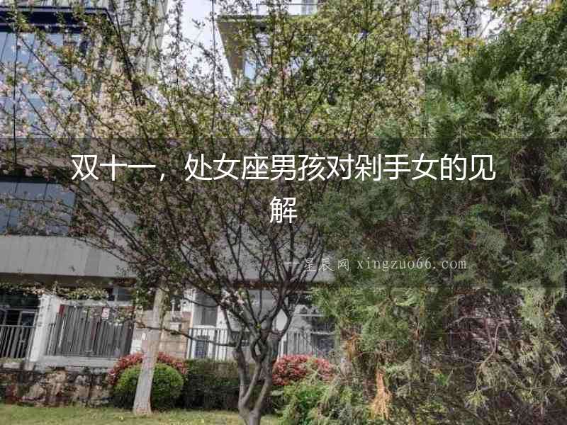 雙十一，處女座男孩對剁手女的見解
