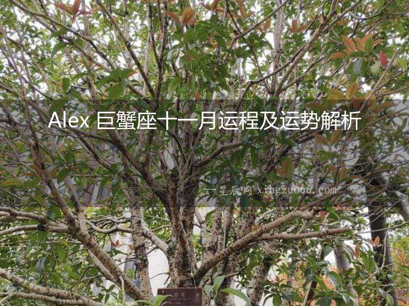 Alex 巨蟹座十一月運程及運勢解析