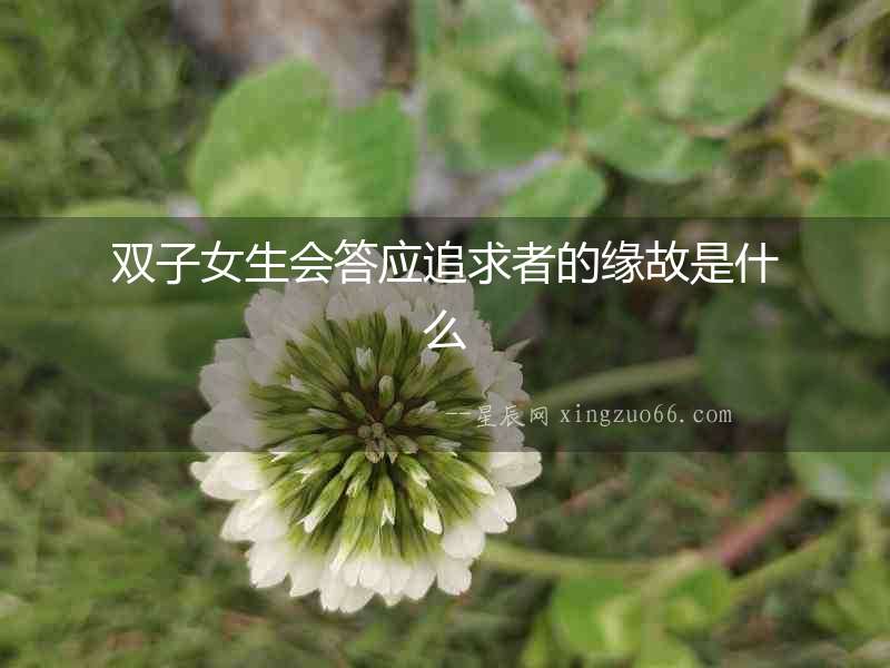 雙子女生會答應追求者的緣故是什么