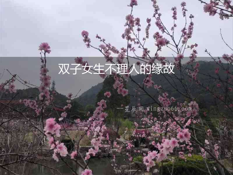 雙子女生不理人的緣故