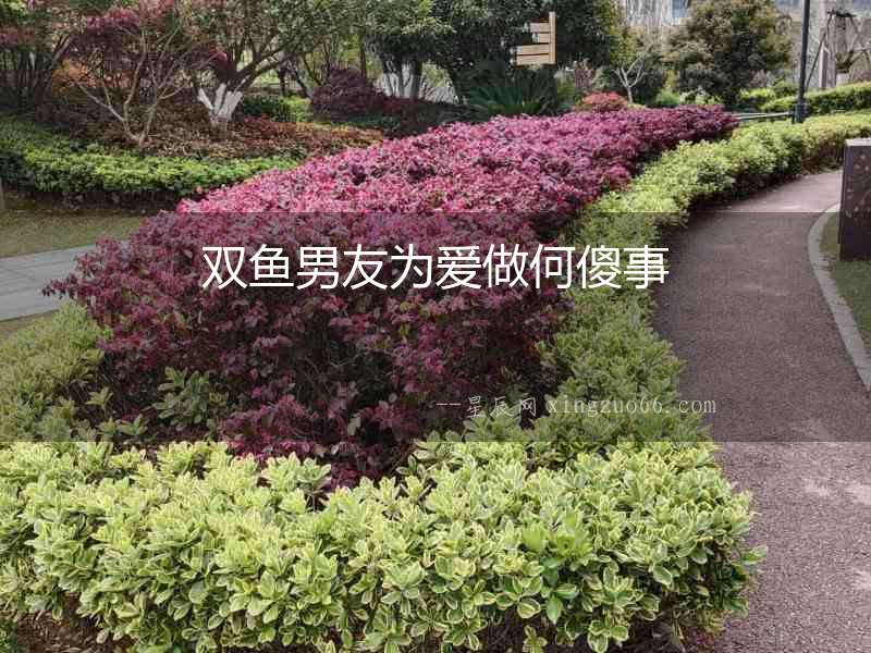 雙魚男友為愛做何傻事