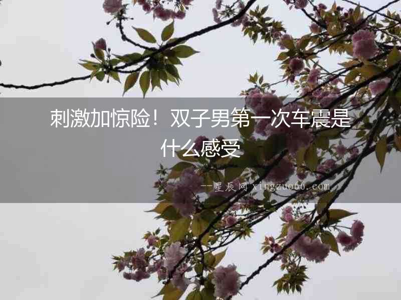 刺激加驚險(xiǎn)！雙子男第一次車震是什么感受