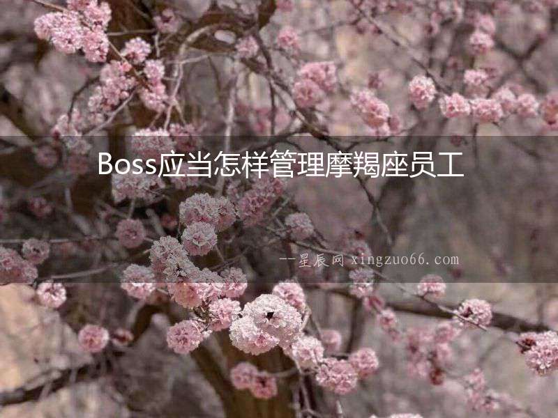 Boss應當怎樣管理摩羯座員工
