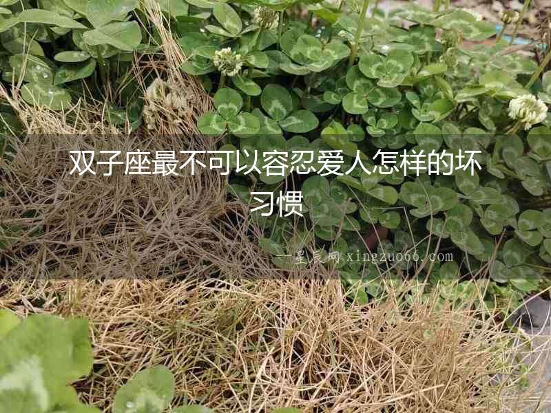 雙子座最不可以容忍愛人怎樣的壞習慣