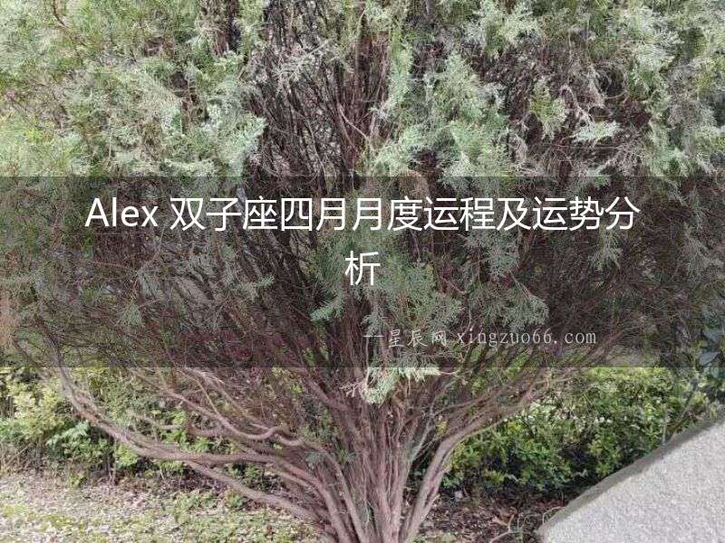 Alex 雙子座四月月度運程及運勢分析