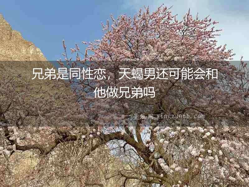 兄弟是同性戀，天蝎男還可能會和他做兄弟嗎