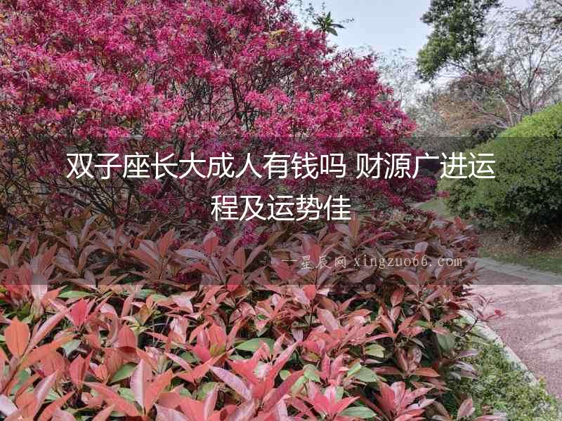 雙子座長大成人有錢嗎 財源廣進(jìn)運程及運勢佳