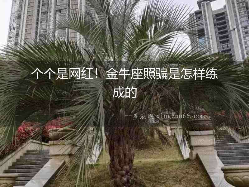 個(gè)個(gè)是網(wǎng)紅！金牛座照騙是怎樣練成的