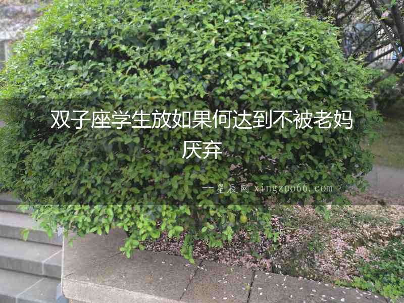 雙子座學(xué)生放如果何達(dá)到不被老媽厭棄