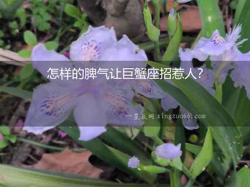 怎樣的脾氣讓巨蟹座招惹人？