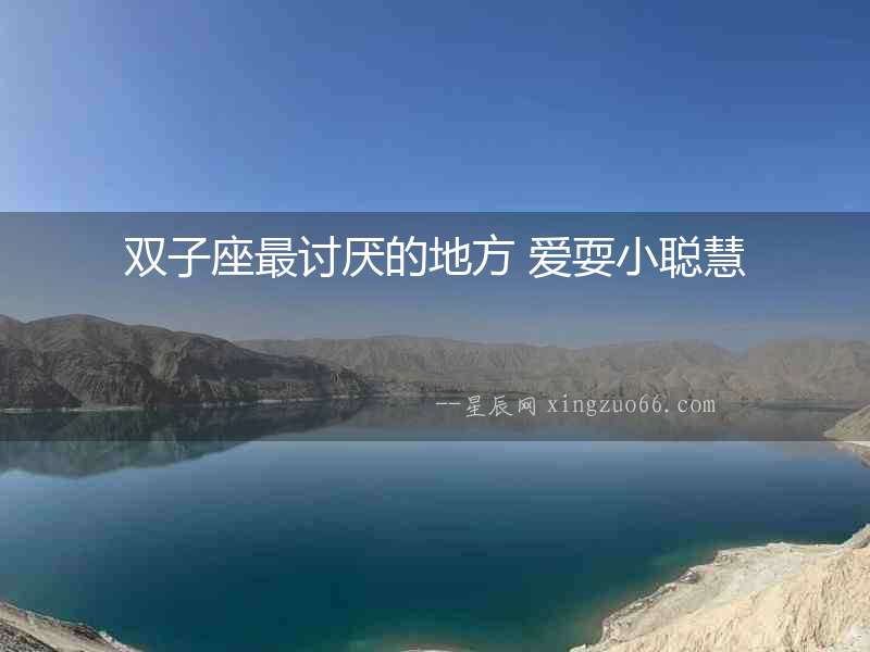 雙子座最討厭的地方 愛(ài)耍小聰慧