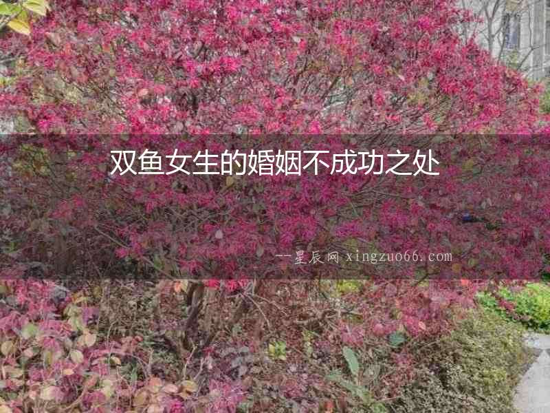 雙魚女生的婚姻不成功之處