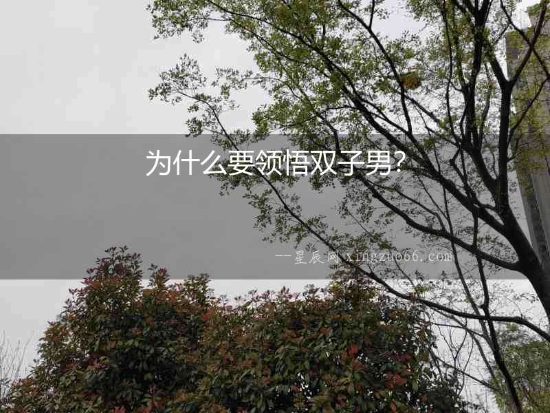 為什么要領悟雙子男？
