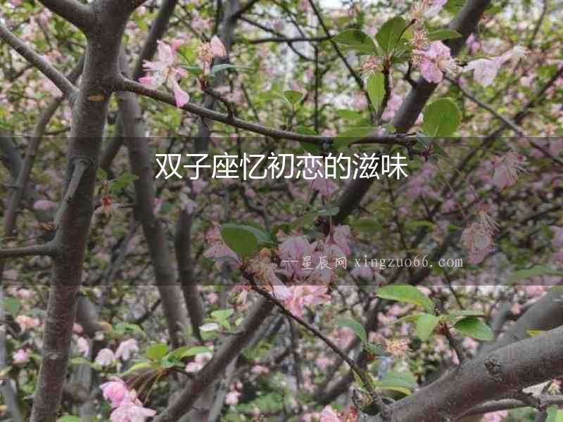 雙子座憶初戀的滋味