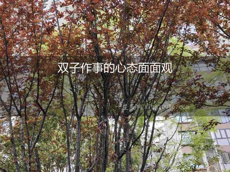 雙子作事的心態面面觀