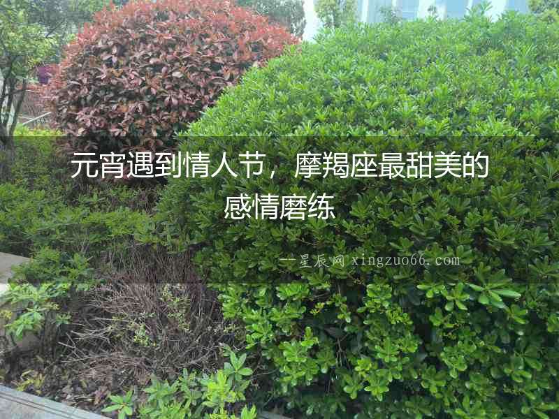 元宵遇到情人節(jié)，摩羯座最甜美的感情磨練