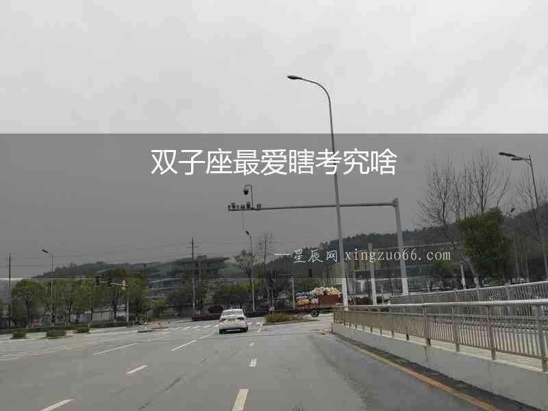 雙子座最愛瞎考究啥
