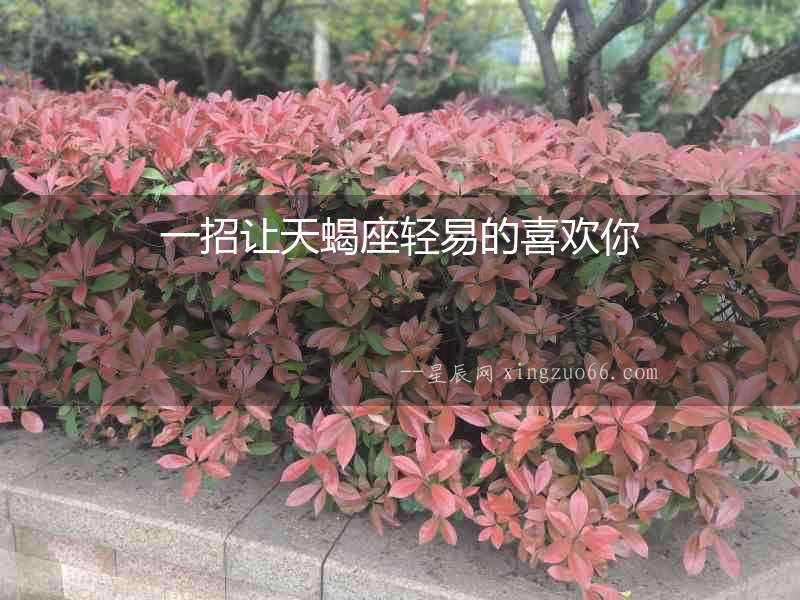一招讓天蝎座輕易的喜歡你