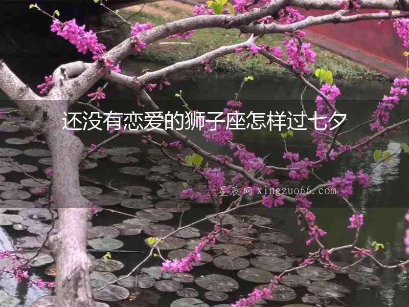 還沒有戀愛的獅子座怎樣過七夕
