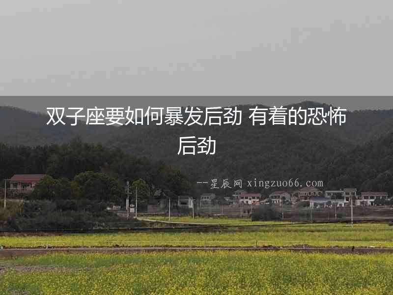 雙子座要如何暴發(fā)后勁 有著的恐怖后勁