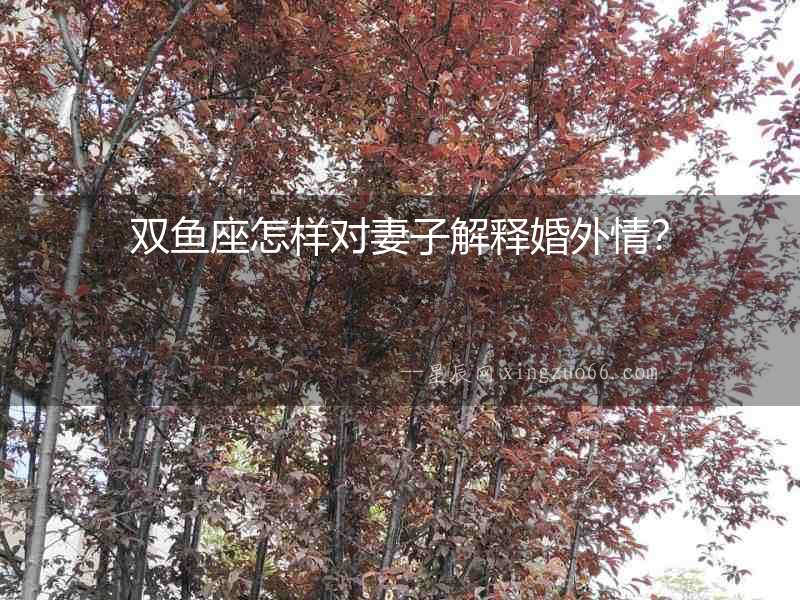 雙魚座怎樣對(duì)妻子解釋婚外情？