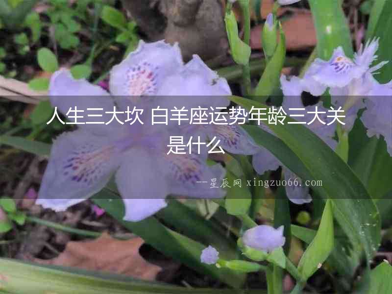 人生三大坎 白羊座運(yùn)勢(shì)年齡三大關(guān)是什么