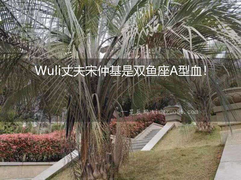 Wuli丈夫宋仲基是雙魚(yú)座A型血！