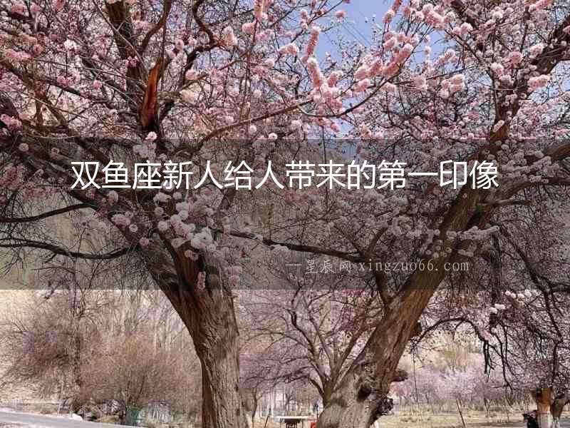 雙魚座新人給人帶來(lái)的第一印像