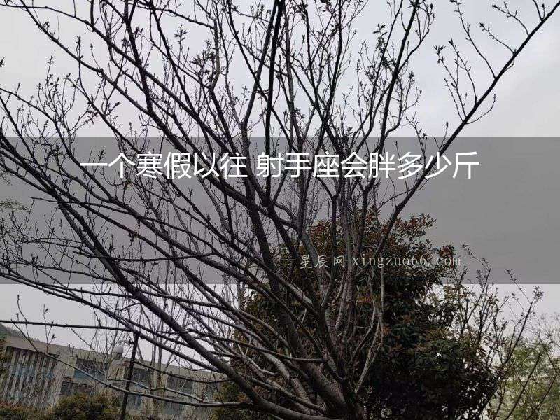 一個寒假以往 射手座會胖多少斤