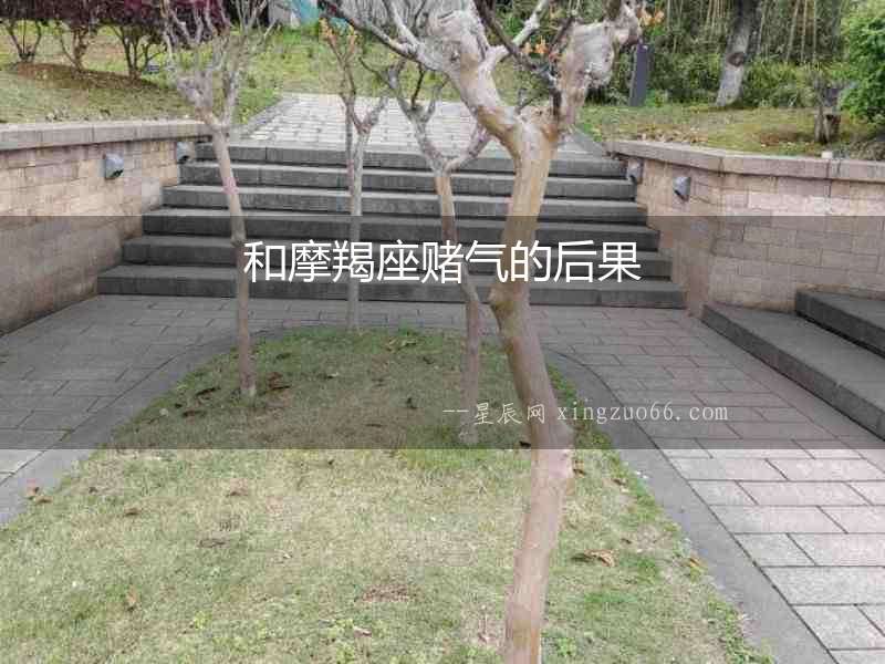 和摩羯座賭氣的后果