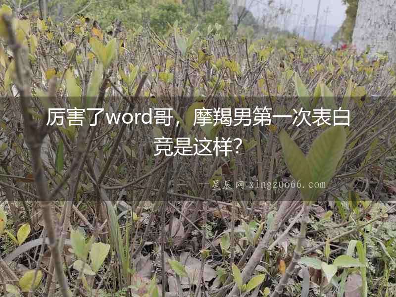 厲害了word哥，摩羯男第一次表白競是這樣？