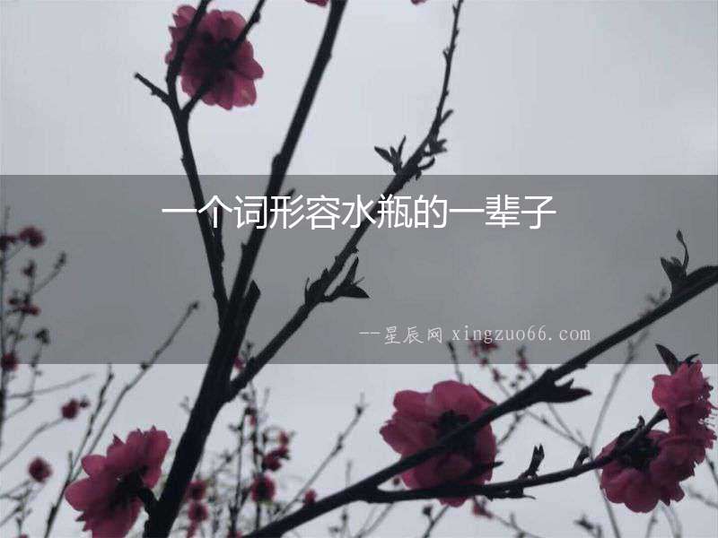 一個詞形容水瓶的一輩子